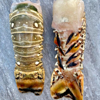 Raw Caribbean Lobster Tail - 110g